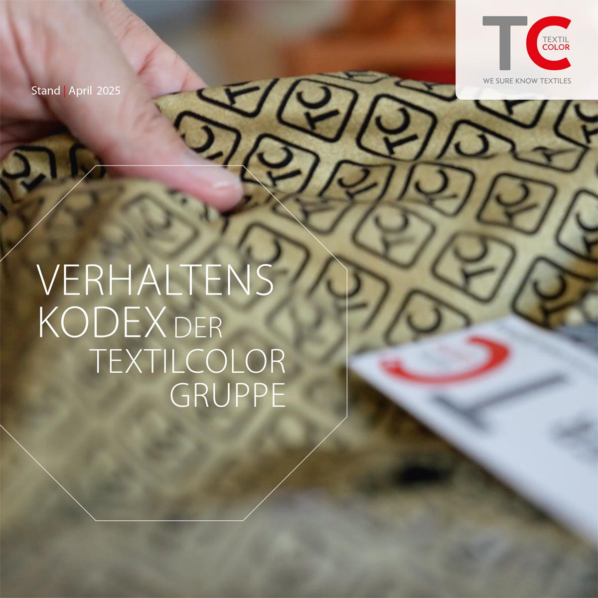 TC Code of Conduct DE