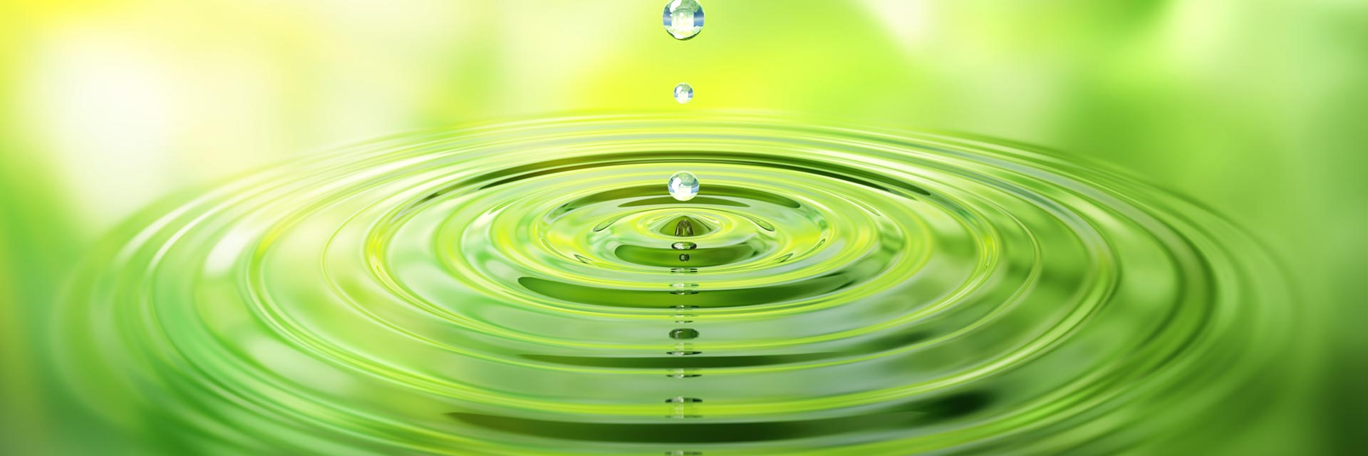 Header Nachhaltigkeit